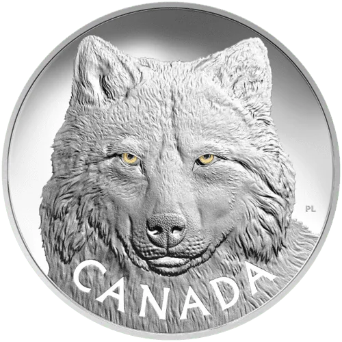 1 kilo In The Eyes of the Timber Wolf | 2017
