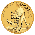 1/2 oz Kangaroo Gold Coin | 2022