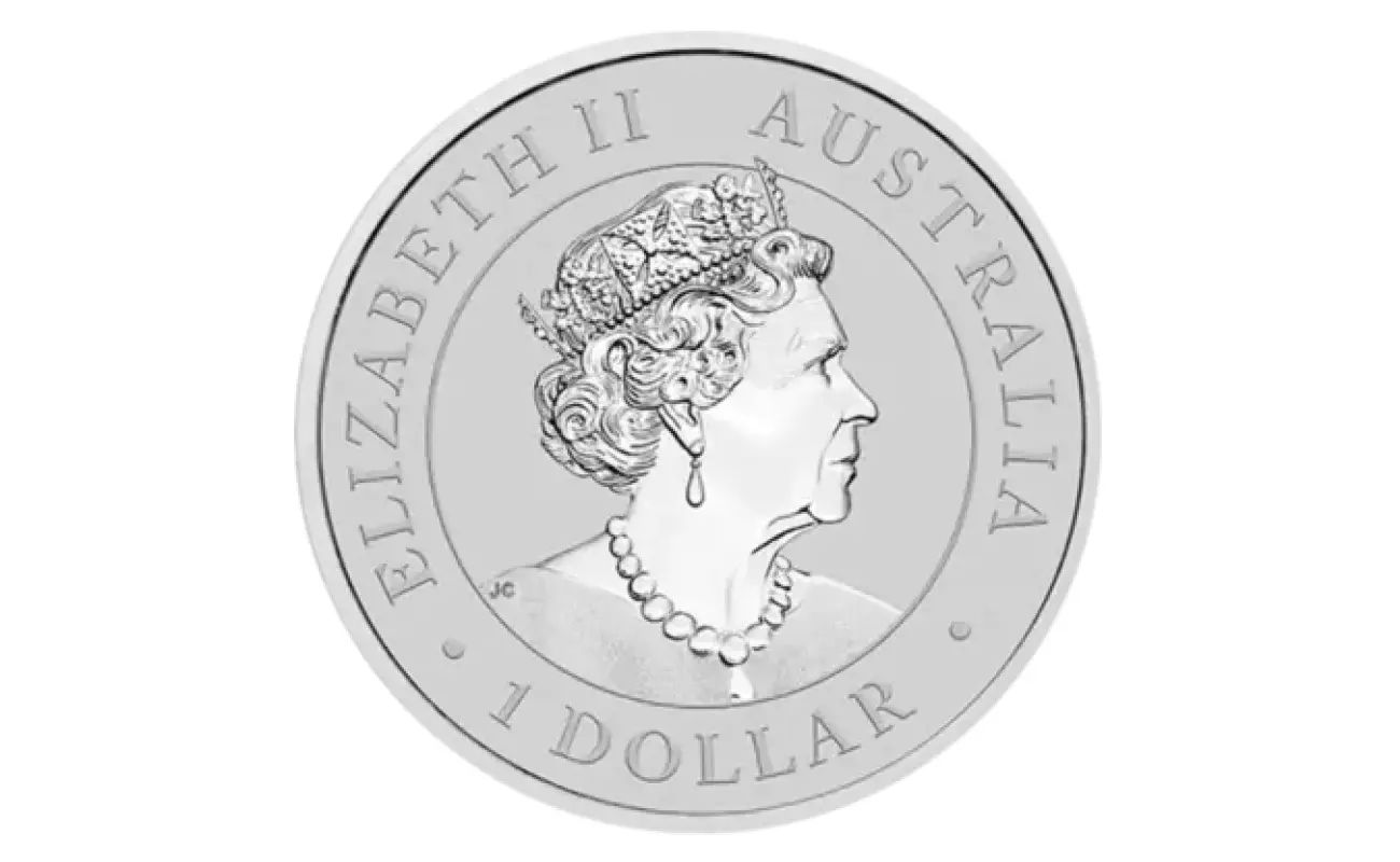 Bitgolder gold and silver product