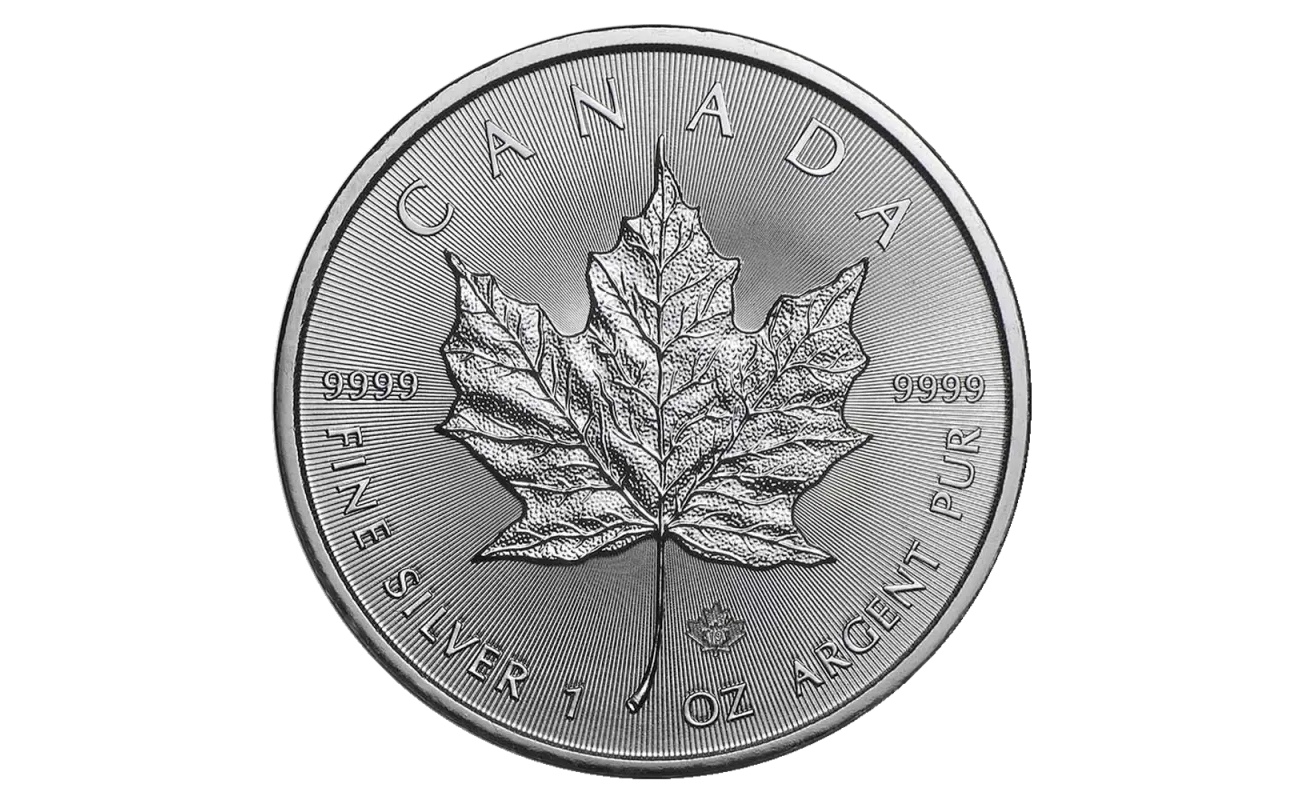 Bitgolder gold and silver product