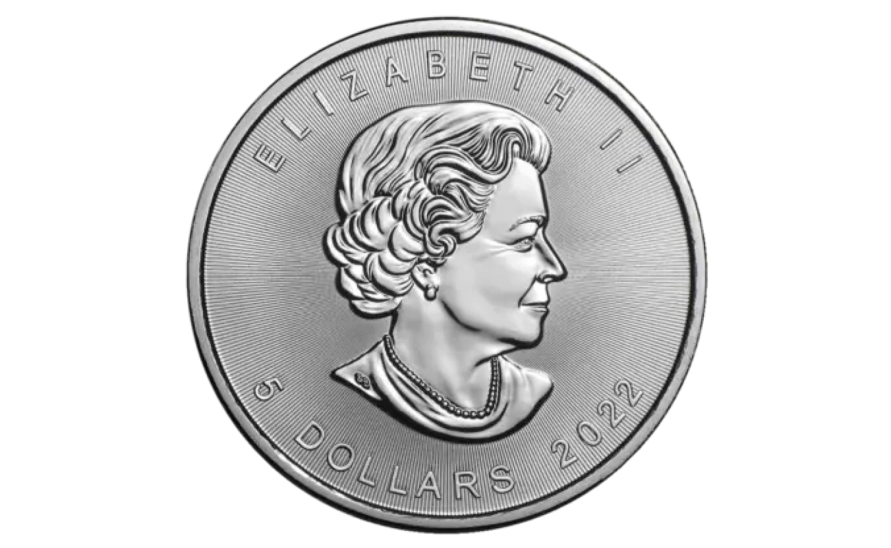 Bitgolder gold and silver product