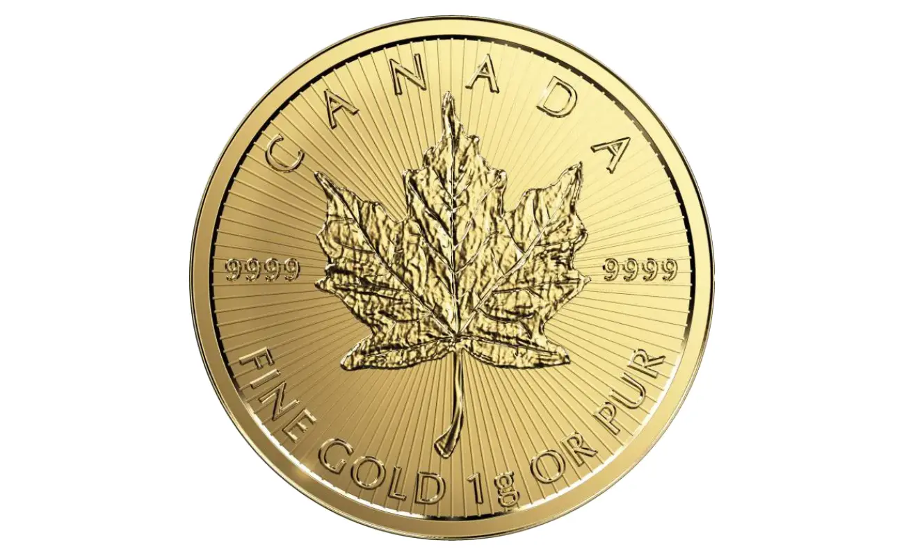 Bitgolder gold and silver product