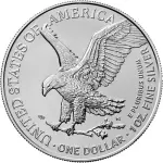 2023 ASE USMP 2